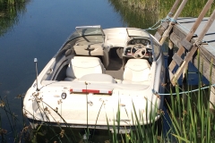 Bayliner Bow rider Runabout